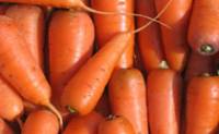 Фото Сделать домашнюю заготовку на зиму Морковь сушеная