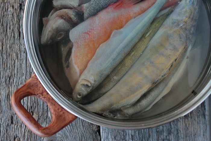 Выпотрошенную рыбу поместите в кастрюлю и залейте холодной водой