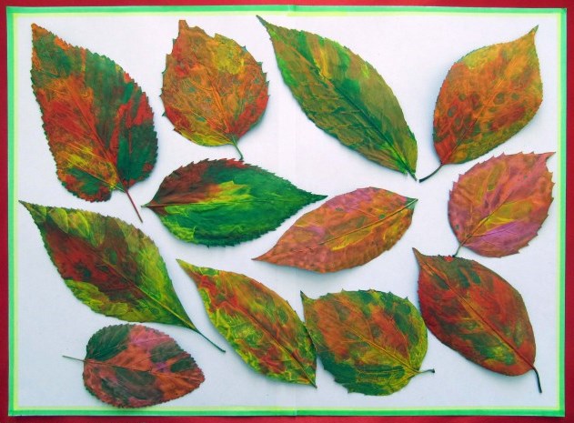 Картина из окрашенных краской листьев