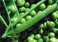 Фото Салат из зеленого горошка и цветной капусты