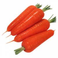 Рецепт Морковь натуральная стерилизованная