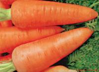 Фото Сделать домашнюю заготовку на зиму Морковь консервированная с яблоками