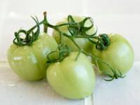 Рецепт Салат из зеленых помидоров