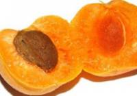 Рецепт Мармелад из абрикосов