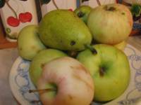 Фото Джем из брусники, яблок и груш